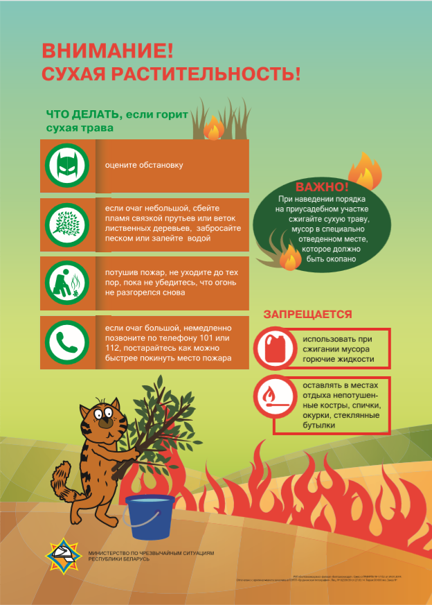 Недопущение выжигания сухой растительности и ответственность за весенние палы