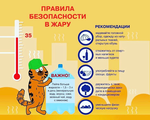 Будь готов: правила безопасности в жару
